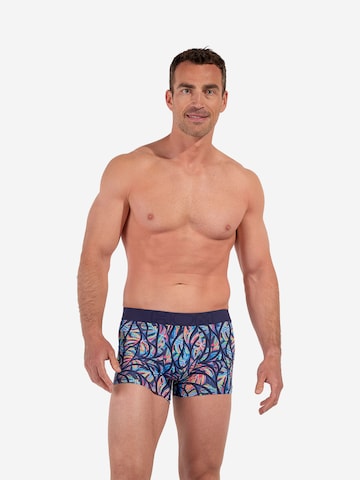 HOM Boxer shorts ' Boxer Briefs Indian Creek ' in Blue: front
