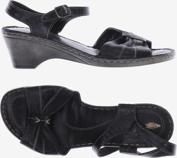HUSH PUPPIES Sandals & High-Heeled Sandals in 38 in Black: front