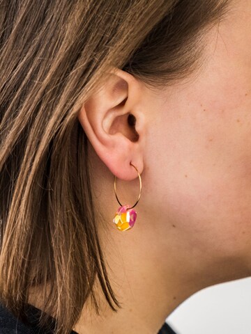 Orecchini 'Acetat Creolen Alice' di Fräulein Wunder in rosa