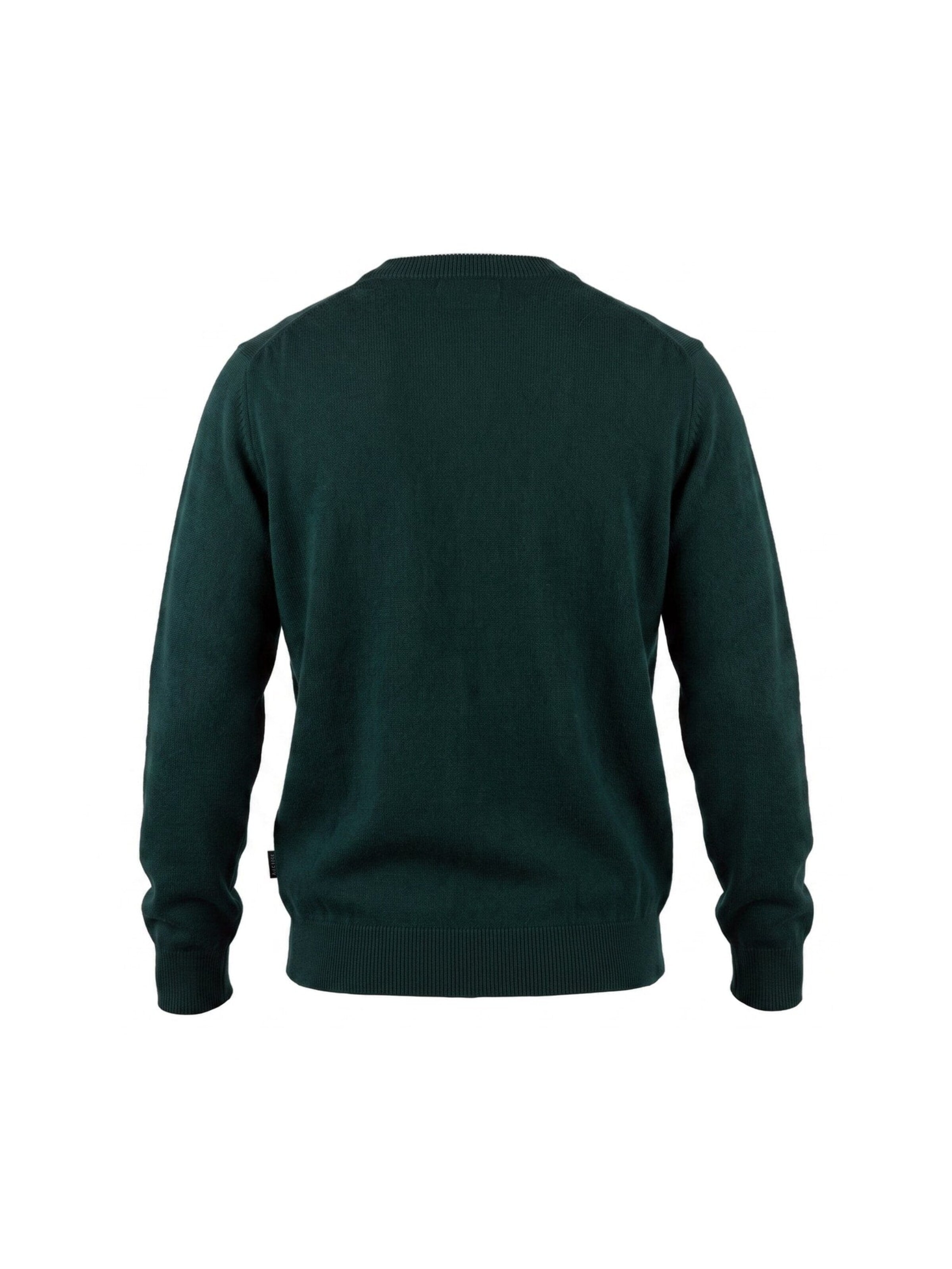 SEBAGO Sweter 'GILEAD GREEN GROVE' w kolorze zielony