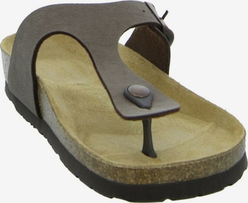 ROHDE T-Bar Sandals in Brown