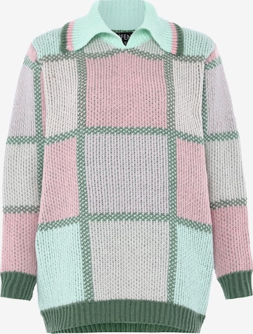 rožinė FENIA Megztinis: priekis