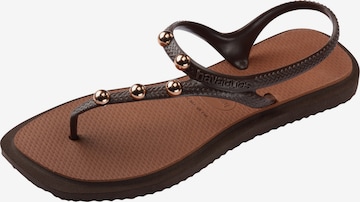 Séparateur d'orteils 'Flash Fusion' HAVAIANAS en marron : devant