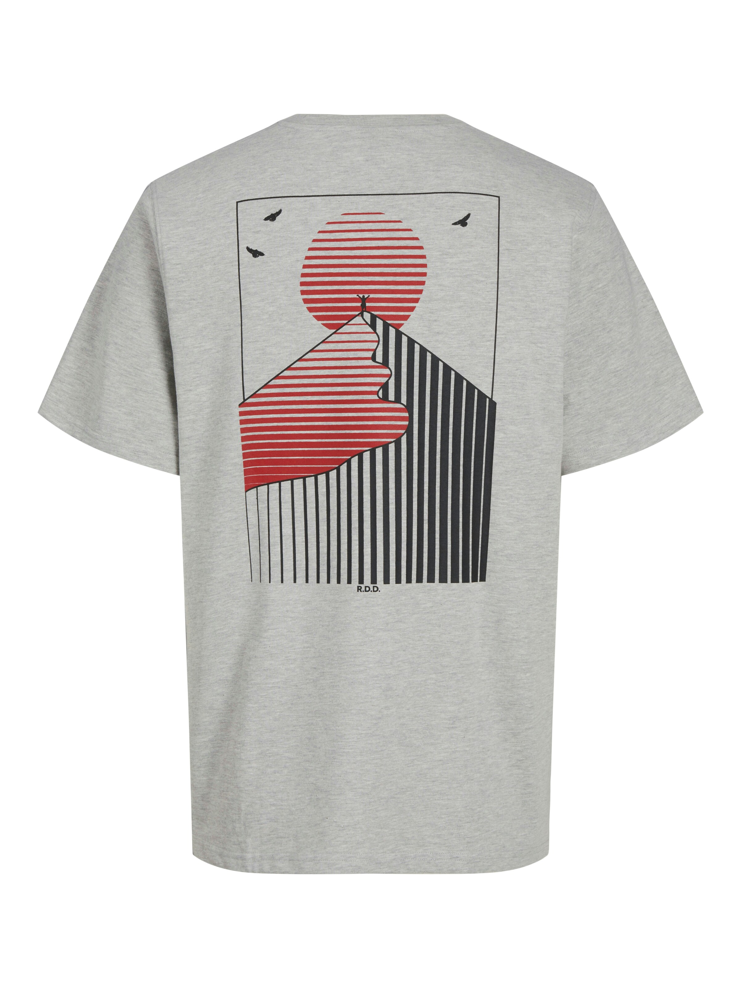 R.D.D. ROYAL DENIM DIVISION T-Shirt 'RDDBARRY' in Grau