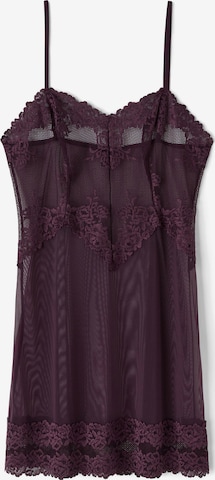 INTIMISSIMI Negligee in Purple: front