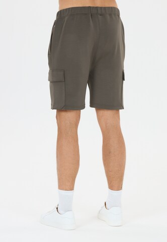 Virtus Loosefit Shorts 'Nasas' in Braun
