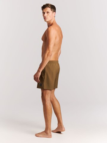 PROTEST Badeshorts 'Davey' in Braun