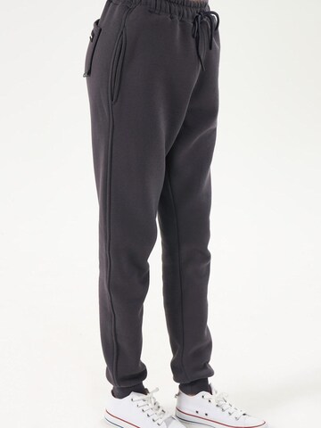 LOUIS LECLER Slim fit Pants 'Sasha' in Grey