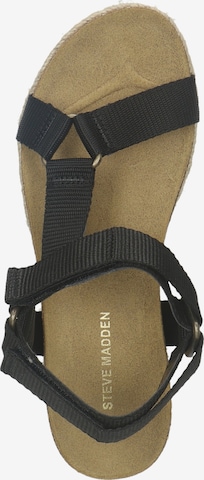 STEVE MADDEN Sandalen in Schwarz