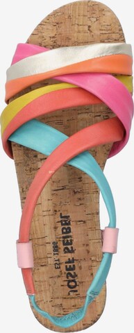 JOSEF SEIBEL Strap Sandals 'Henriette 03' in Mixed colors