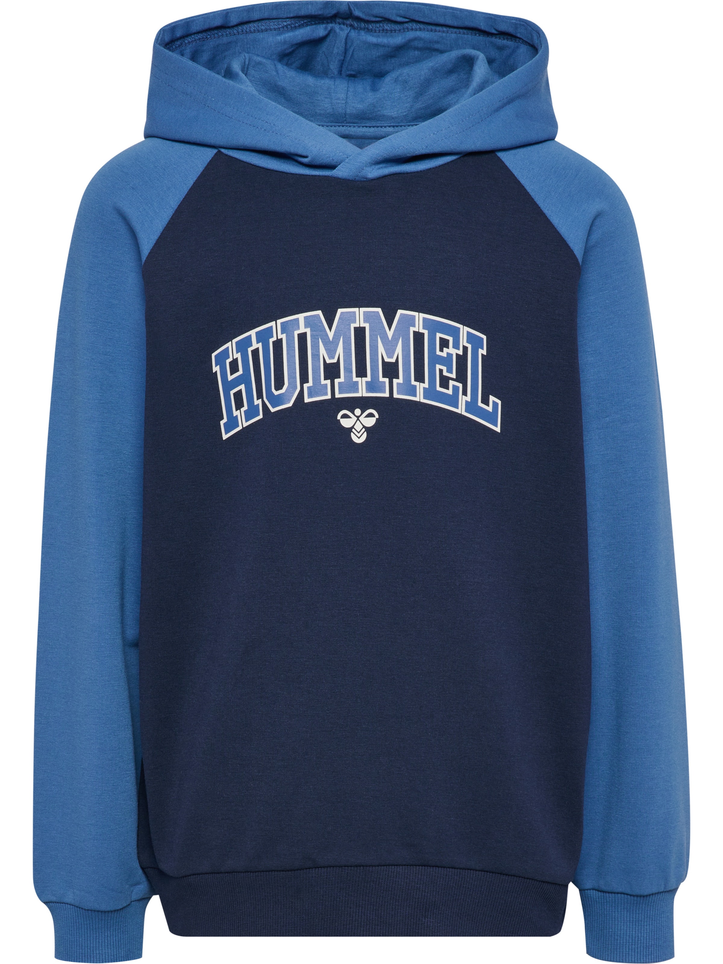 Hummel Sweatshirt 'Essen' i blå: forside