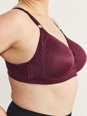 Bustier Soutien-gorge C&City en violet
