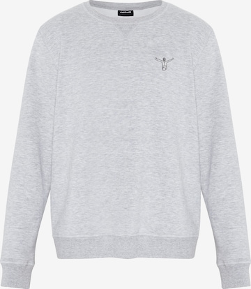 CHIEMSEE Sweatshirt in Grau: Vorderseite