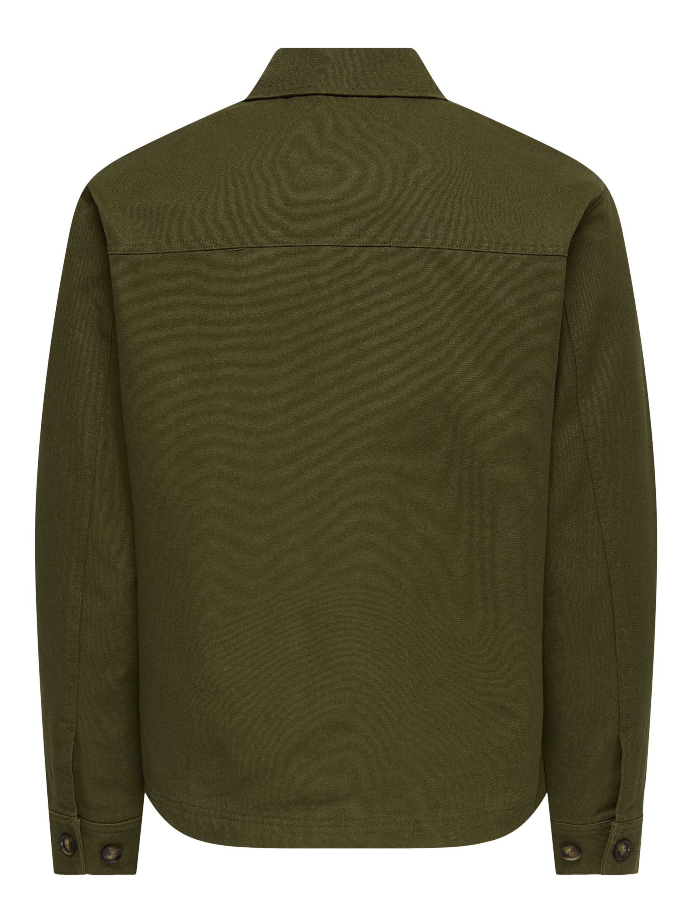 Only & Sons - Ajuste regular Camisa 'ONSRONNIE' en verde