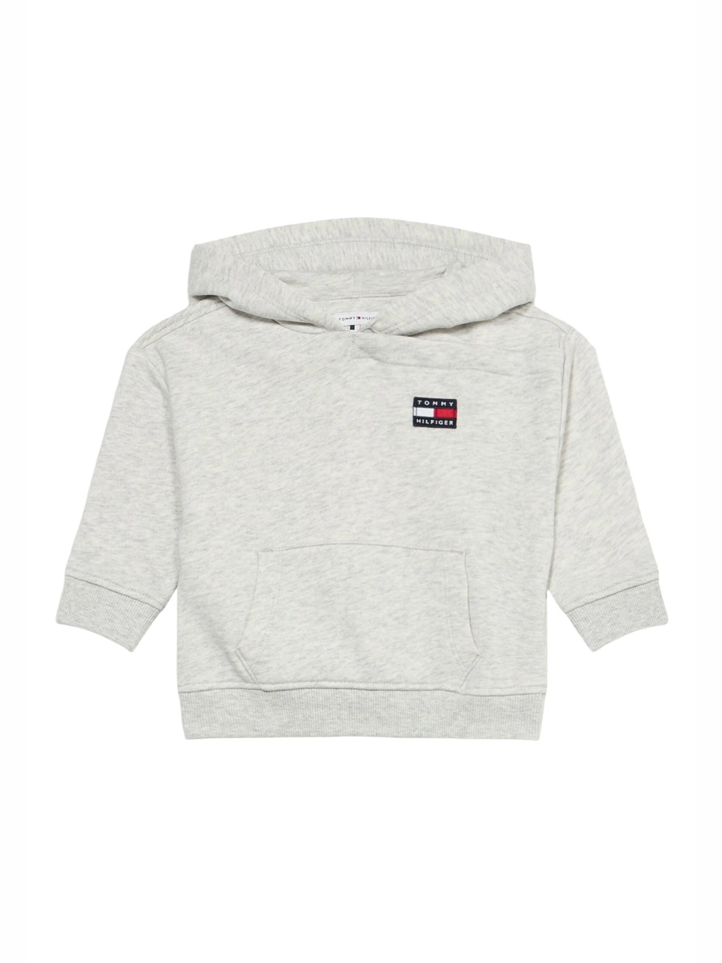 Tommy Hilfiger Kids Sweatshirt in Grey: front