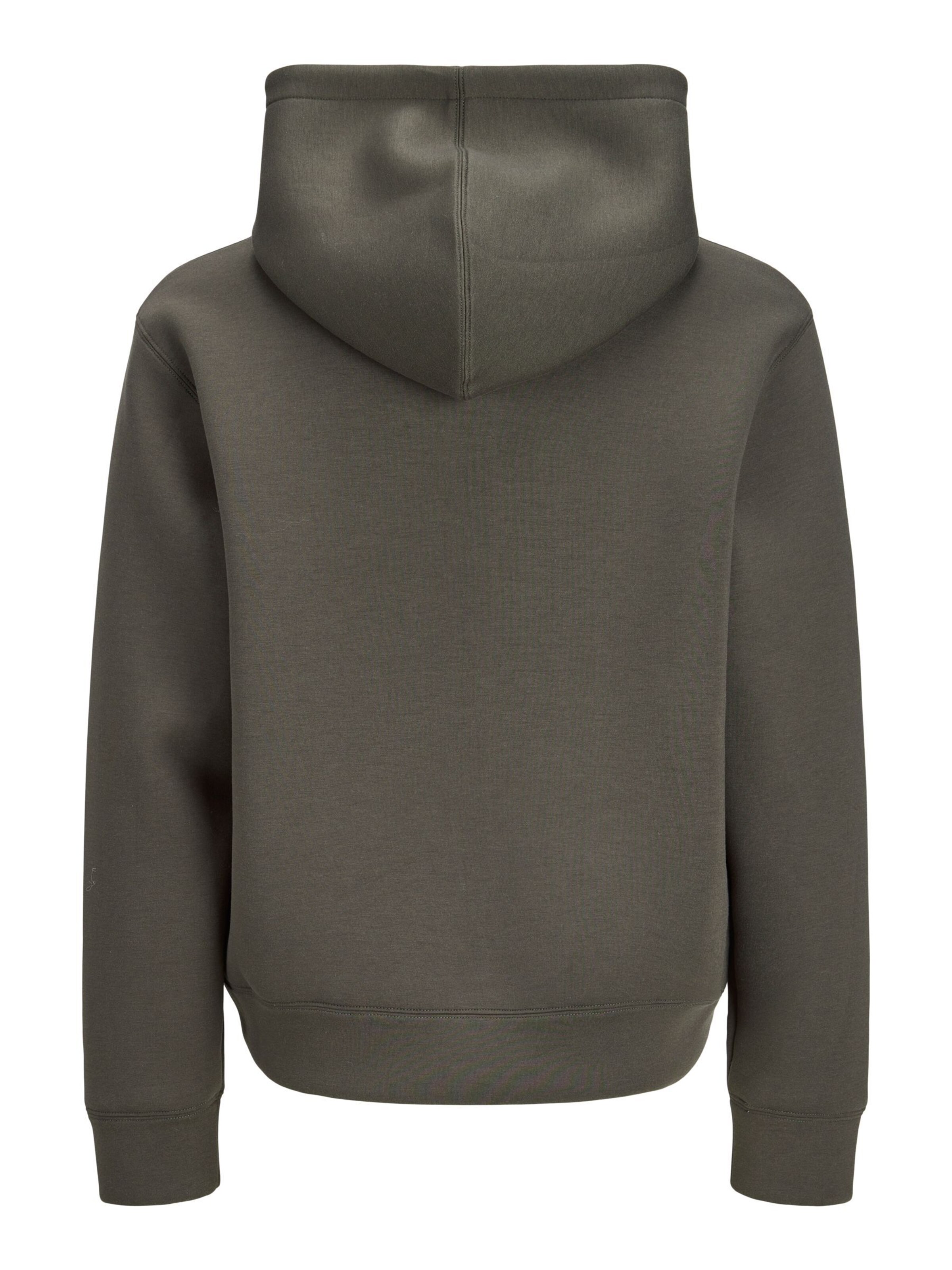 JACK & JONES Sweatshirt in Green