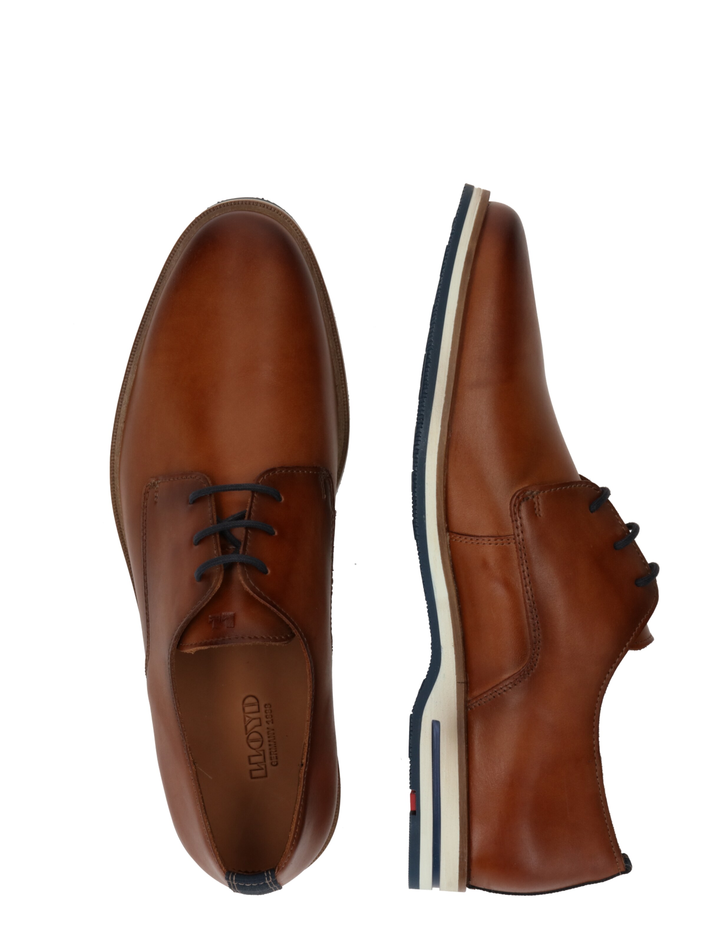 Chaussure à lacets 'Dakin' LLOYD en marron