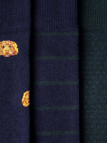 Hackett London Socken ' HARRY ' in Blau