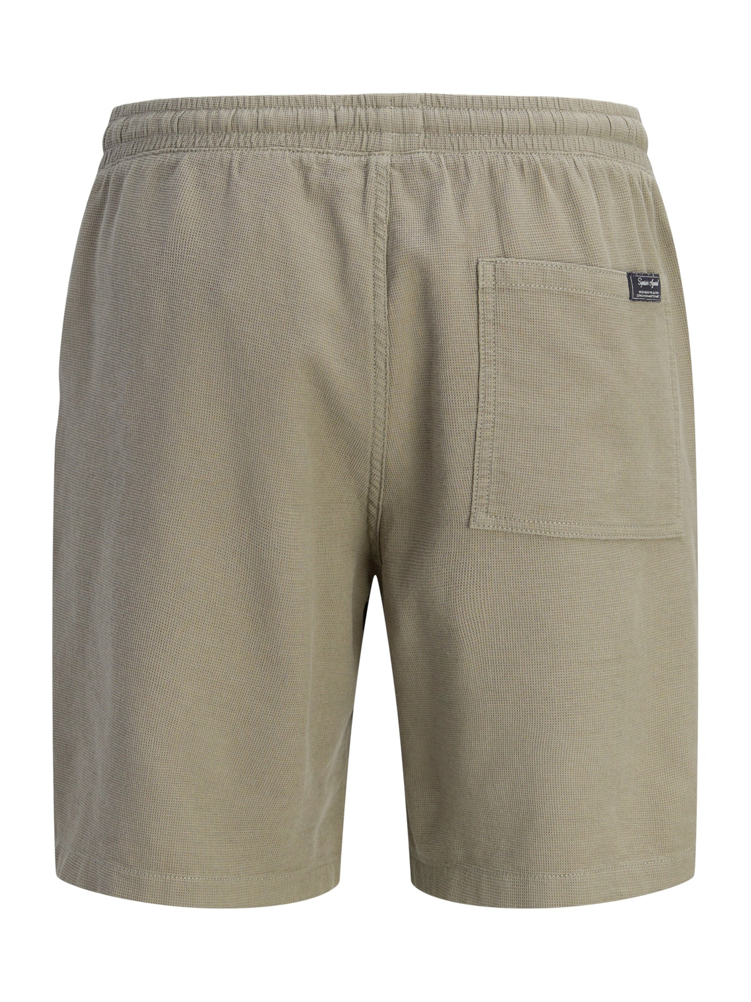 pilka Jack & Jones Plus Standartinis Kelnės 'JPSTJAIDEN'