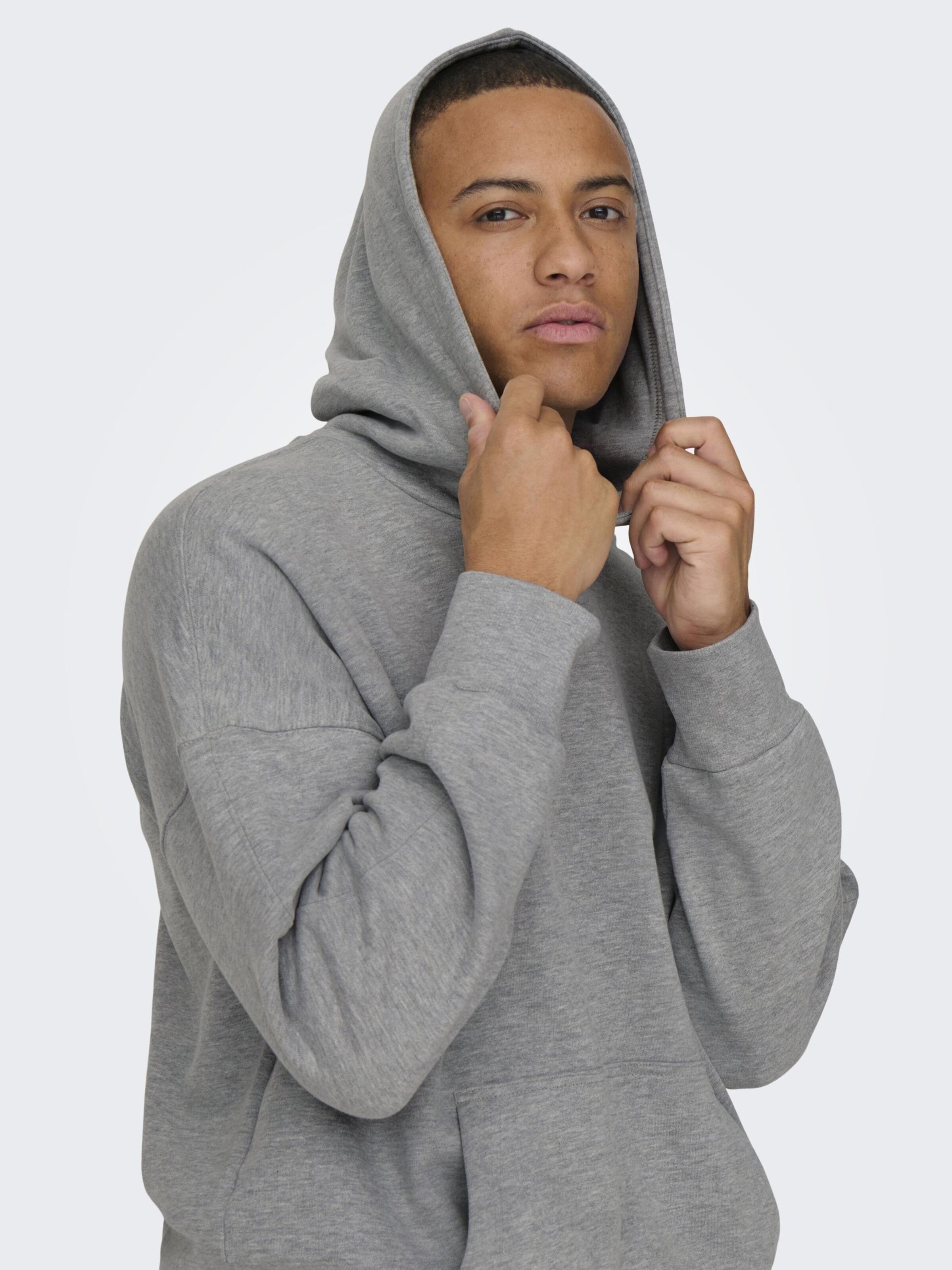 Only \u0026 Sons Slim fit Sweatshirt 'Dan' in Mottled Grey | ABOUT YOU