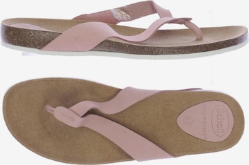 SCHOLL Sandalen 41 in Pink: predná strana