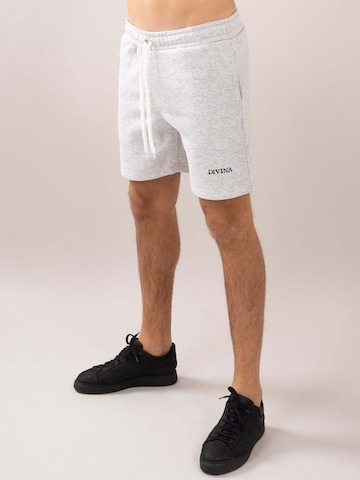 regular Pantaloni 'Comfy' di Divina in grigio