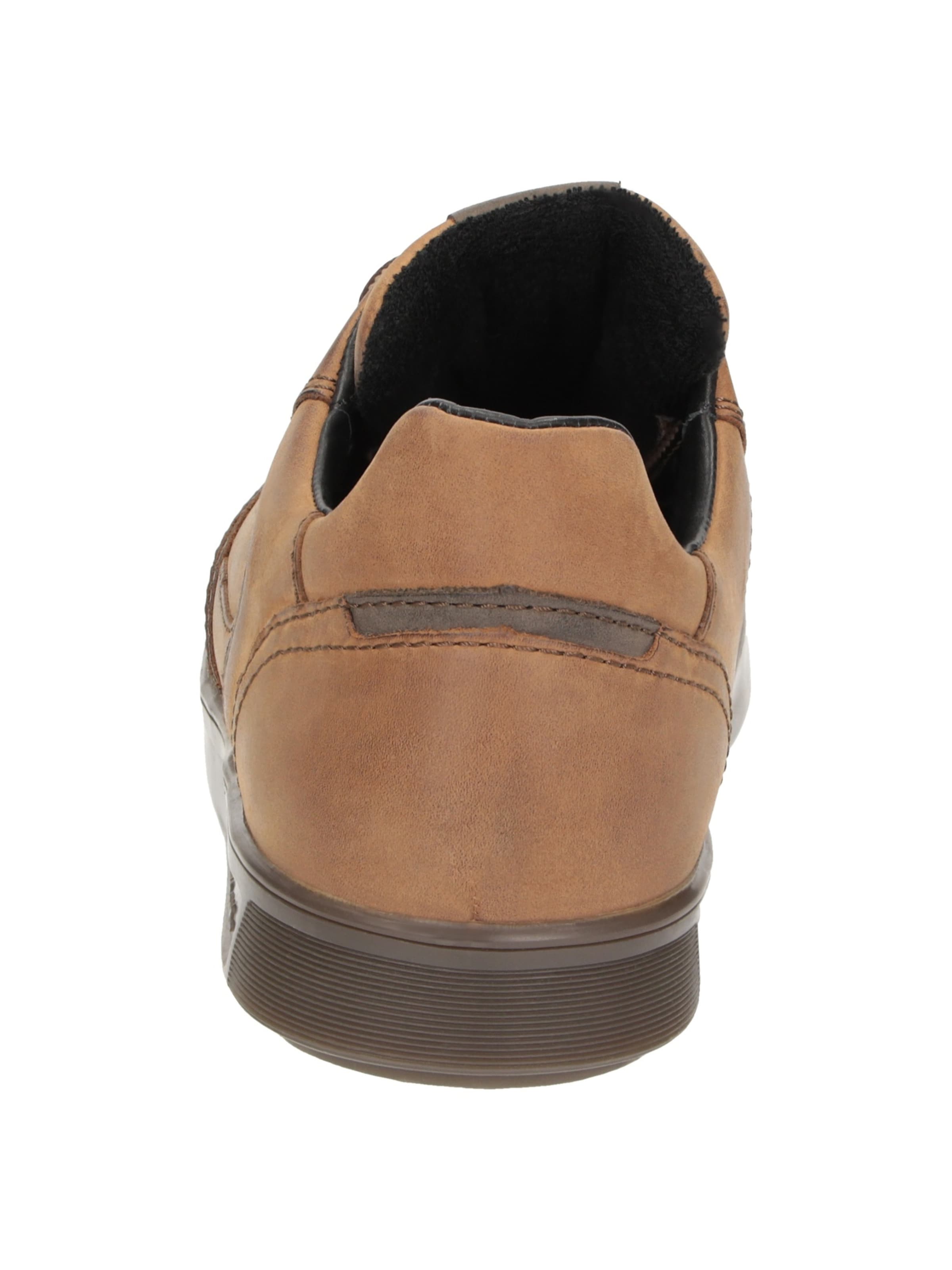 SIOUX Sneakers laag ' Tedroso-706-TEX ' in Bruin