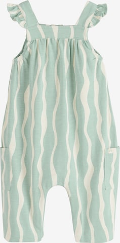 žalia Next Šliaužtinukas / glaustinukė: priekis