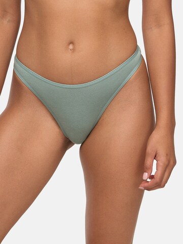 Nur Die Thong in Mixed colors: front