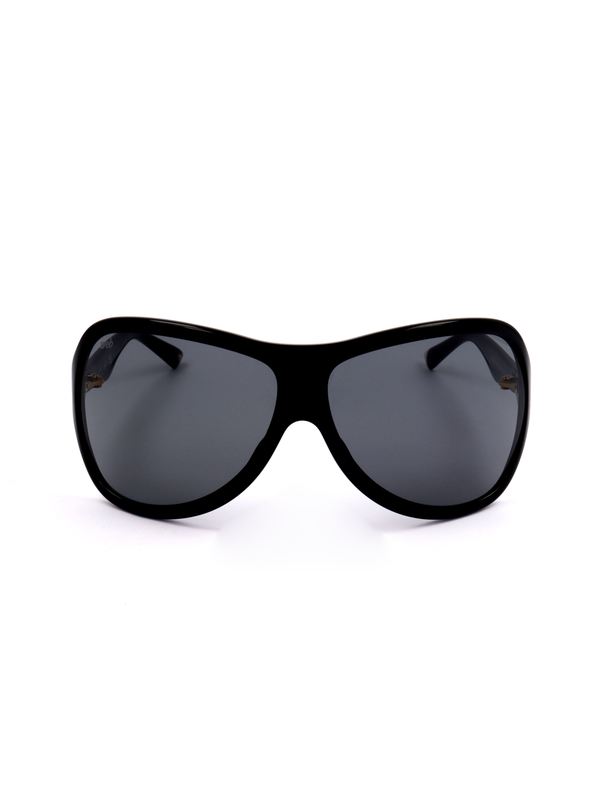 Occhiali da sole 'WE0290' di Web Eyewear in nero: frontale