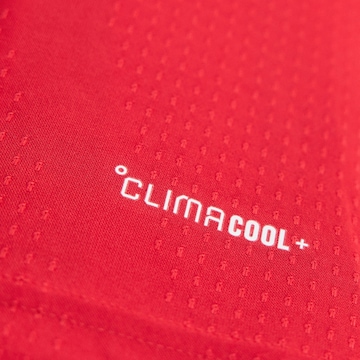 ADIDAS PERFORMANCE - Camiseta funcional 'FC Arsenal 26/27 Authentic' en rojo