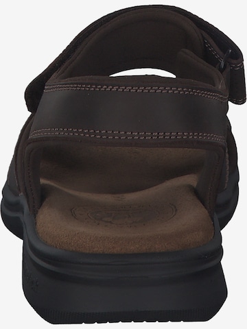 PANAMA JACK Sandals 'Sanders Basics C1' in Brown