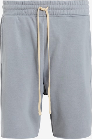 Pantalon 'HELIX' AllSaints en gris : devant