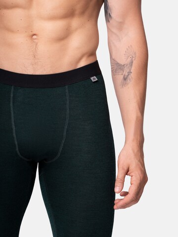DANISH ENDURANCE Regular Functionele broek 'Merino' in Groen