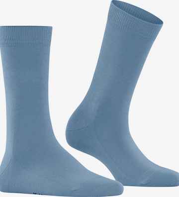 FALKE Socks 'Family' in Blue: front