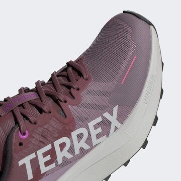 Chaussure basse 'AGRAVIC 3' ADIDAS TERREX en violet