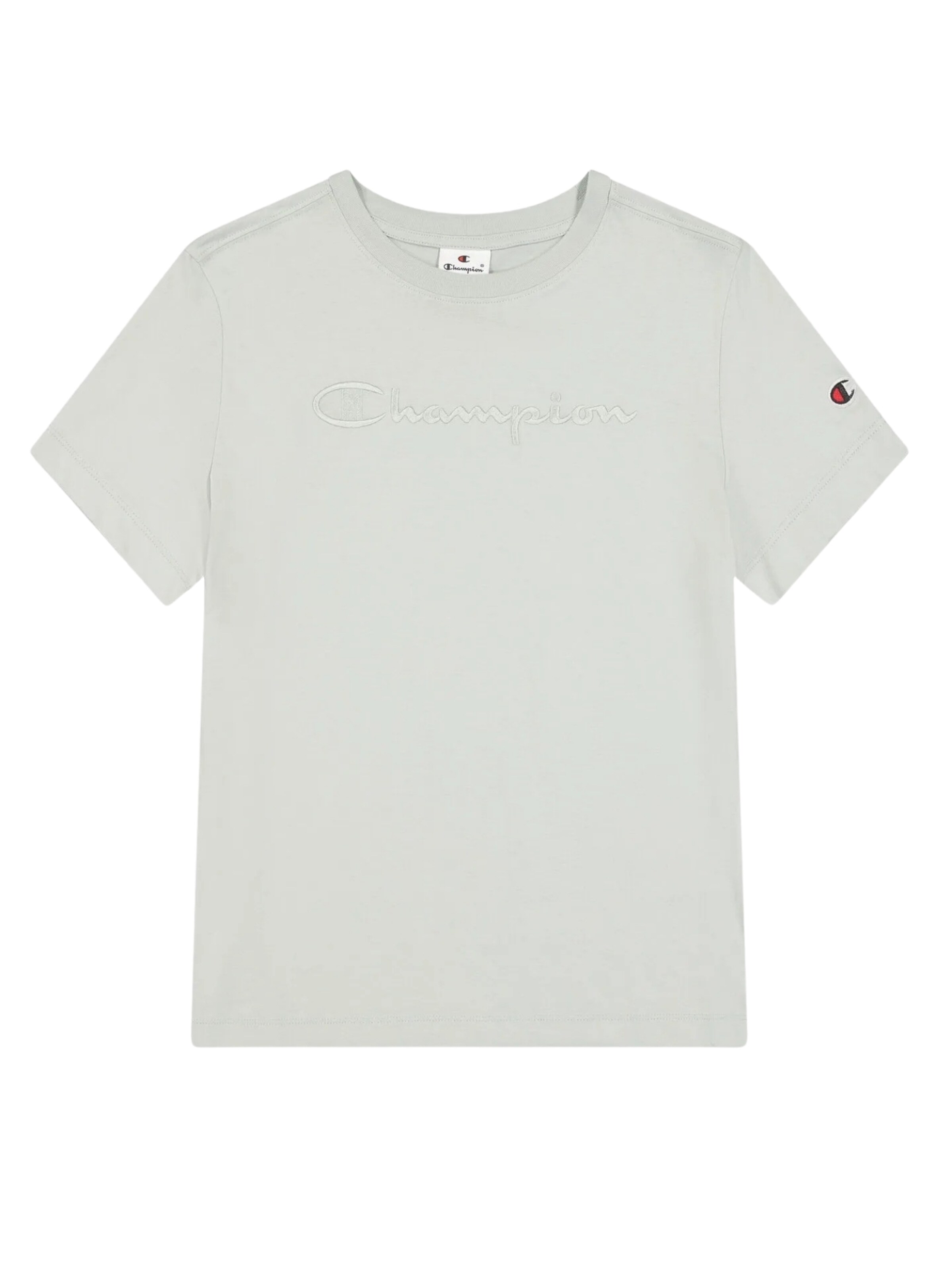 Champion Authentic Athletic Apparel Shirts i grøn: forside