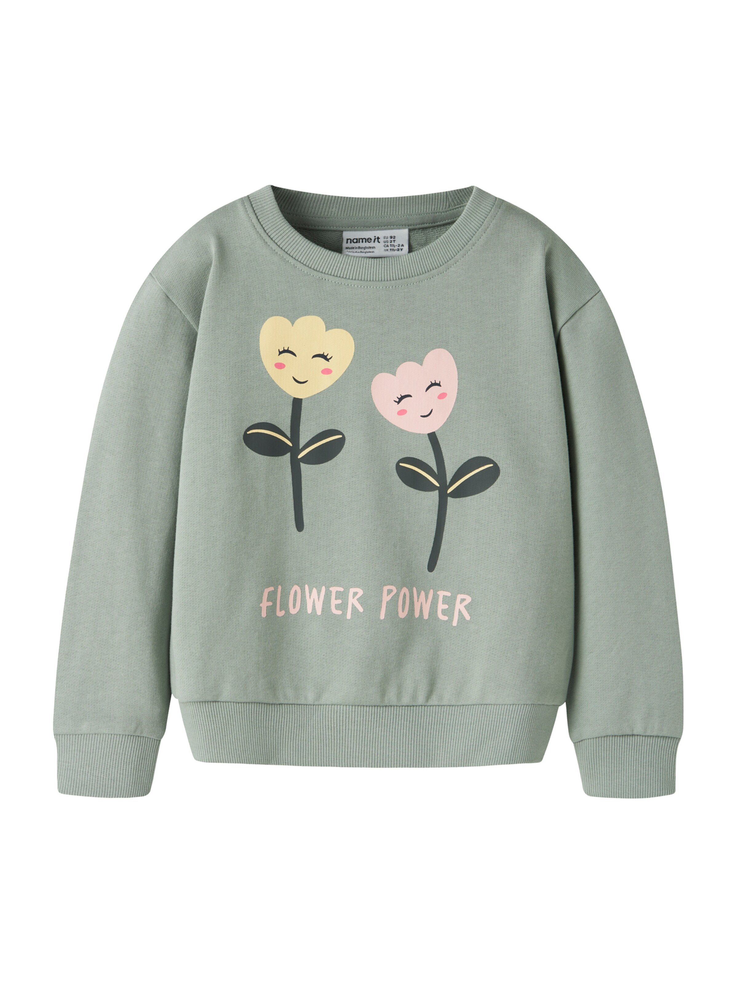 NAME IT Sweatshirt 'NMFVASACHA' i grön: framsida