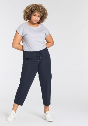 KjBRAND Regular Pants in Blue