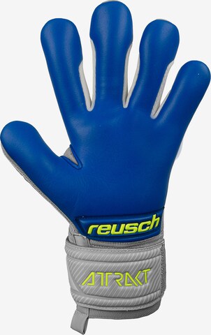 REUSCH Athletic Gloves 'Attrakt Grip Evolution' in Grey