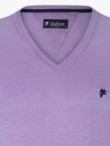 DENIM CULTURE Sweater 'Ottorino' in Purple