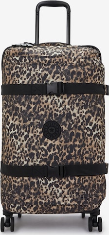 Valisette 'Spontaneous' KIPLING en marron : devant