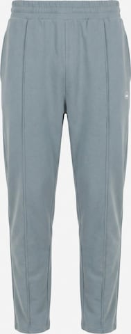 LOTUSCRAFTS Tapered Workout Pants 'QUINN Mens Pants' in Blue: front