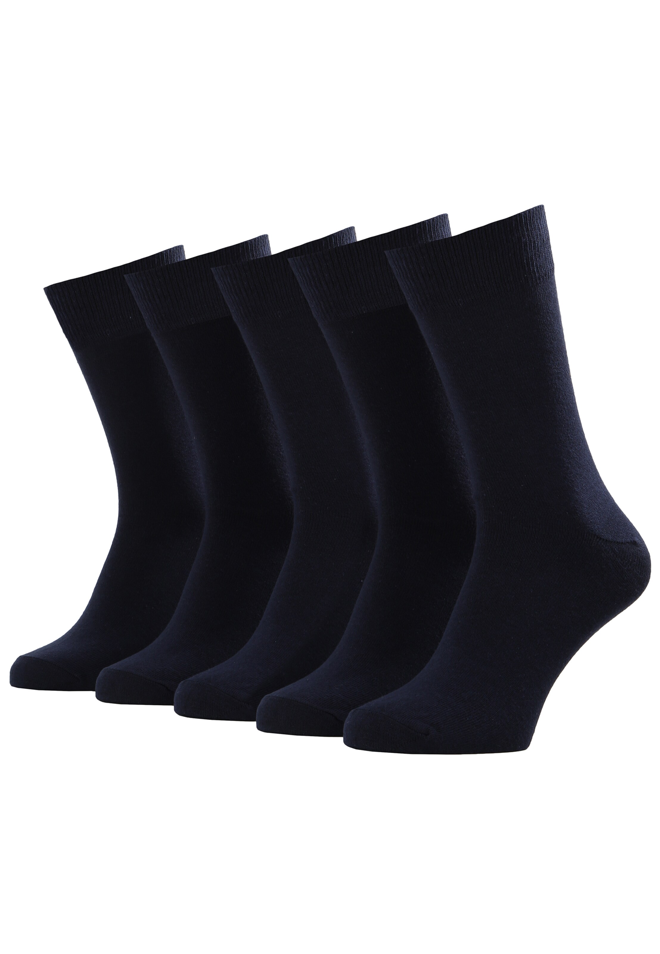 Albert Schäfer Socks in Blue: front