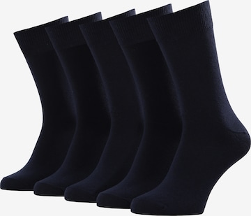 Albert Schäfer Socks in Blue: front
