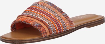 ALDO Mules 'NALANI' in Mixed colors: front