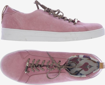 Ted Baker Sneakers & Trainers in 41 in Pink: front
