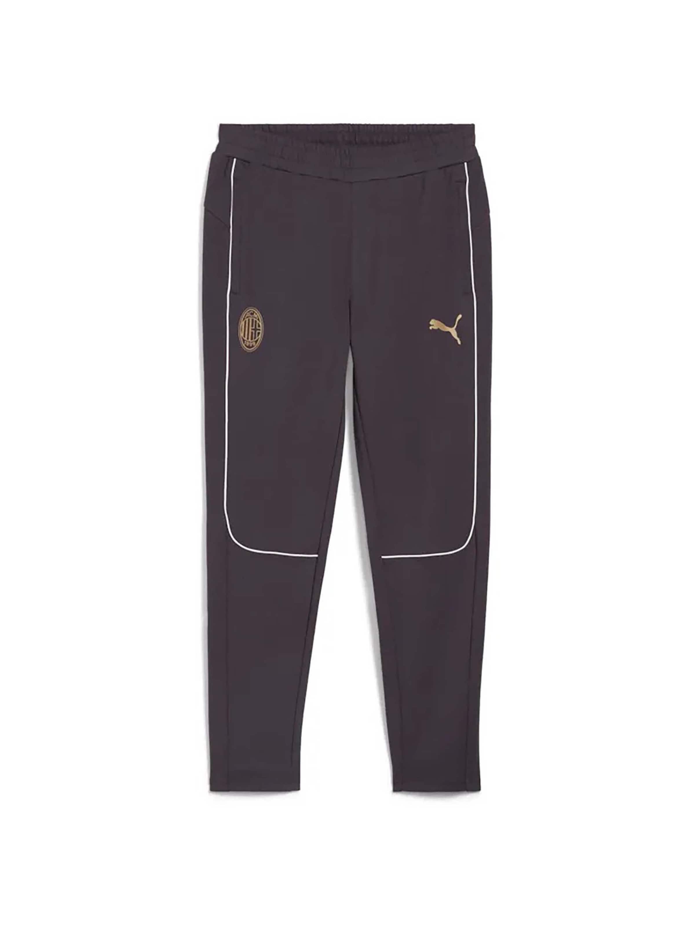 Regular Pantalon de sport ' Von Acm' PUMA en gris : devant