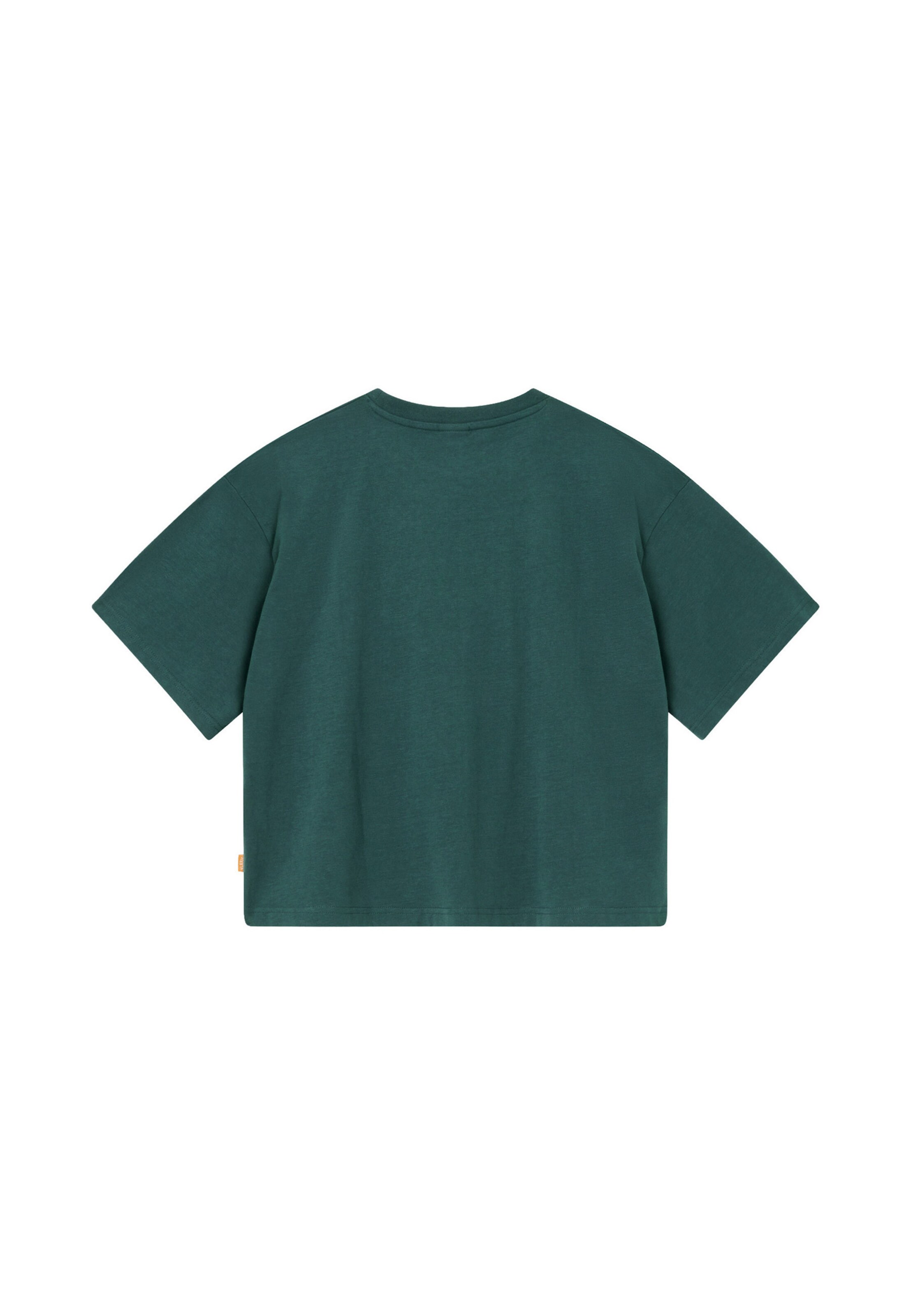 BLKVIS Shirt in Green