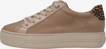 Paul Green Sneakers laag in Beige